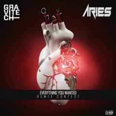 Gravitech - Everything You Wanted (Aries Remix)