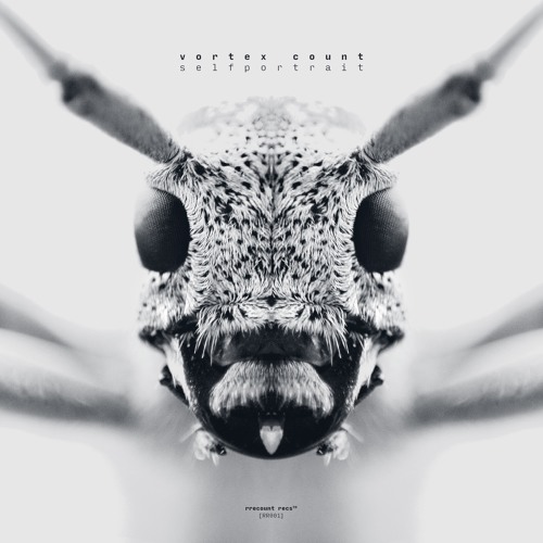 03. vortex count - paarhelic path  | selfportrait | polygon network [NW0001]