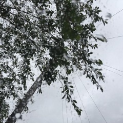 Turn and Fall - This Is The Bridge