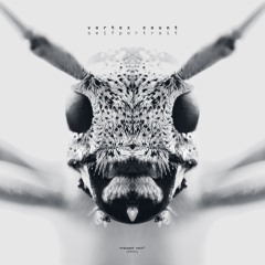 01. vortex count - sewaage | selfportrait | polygon network [NW0001]