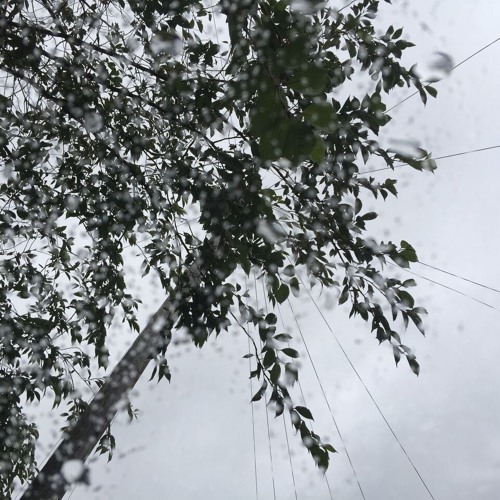 Terra Nova - This Is The Bridge