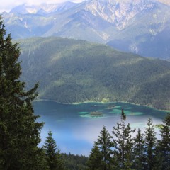 I Can't Help Falling In Love With You (Cover)