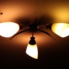 CICADA Kamikaze Flying Wing Buzz Hits Light Shade MKH8040