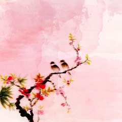 encause - can't stop (hush hush rework)