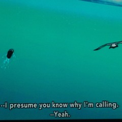 i don't know whats going on anymore