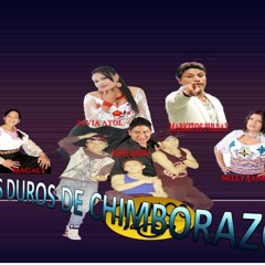 Rmx bailables