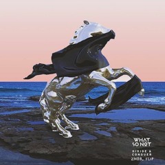 What So Not - Divide And Conquer (zndr. Flip)