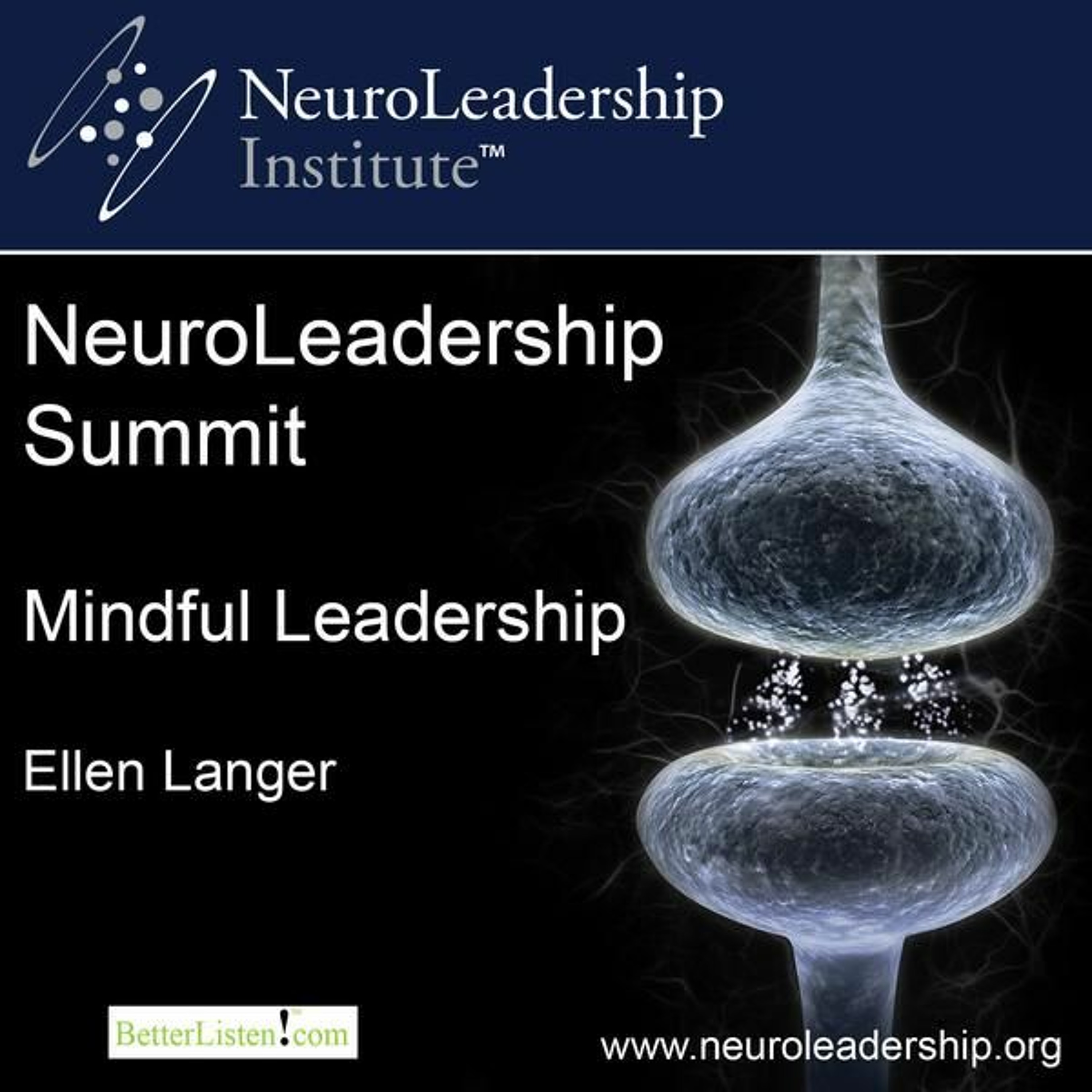 Mindful Leadership- Preview episode artwork