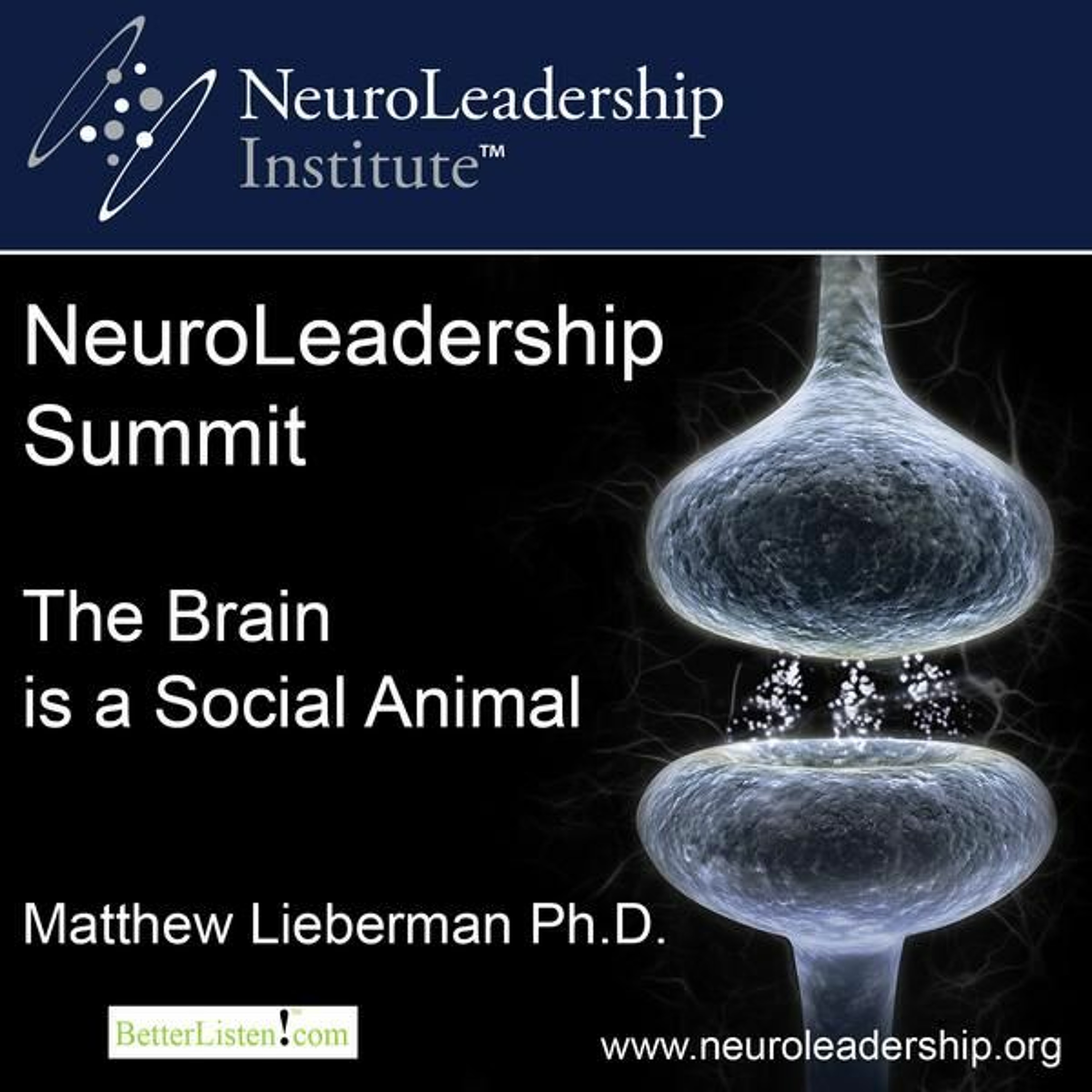 The Brain is a Social Animal episode artwork
