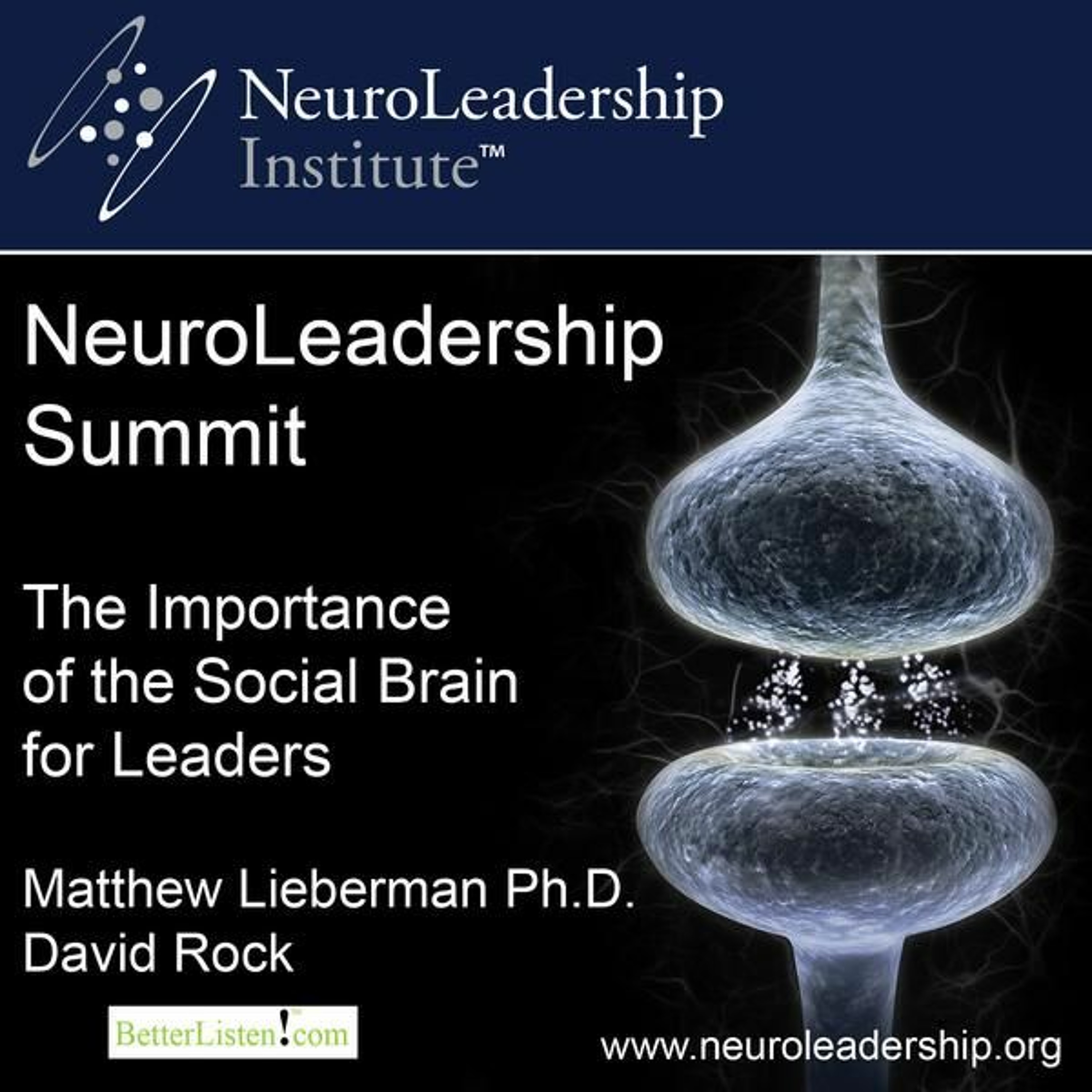 The Importance of the Social Brain for Leaders episode artwork