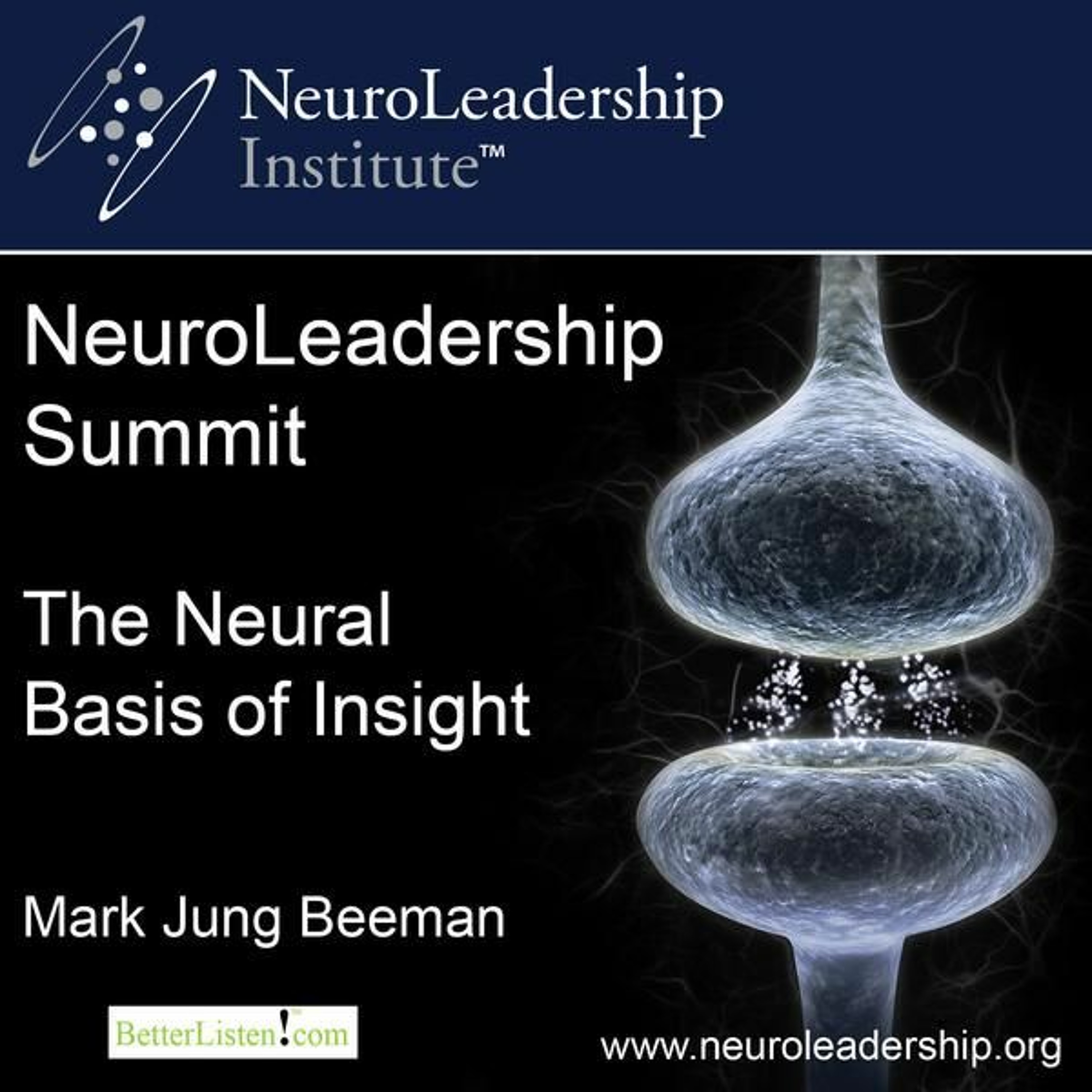 The Neural Basis of Insight- Preview episode artwork