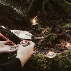 Paralex - The Sacred Forest Ritual (unmastered)