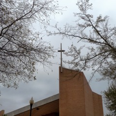 Jesus, Keep Me Near the Cross