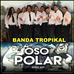 Banda Tropikal - Oso Polar - Single 2017.Mp3