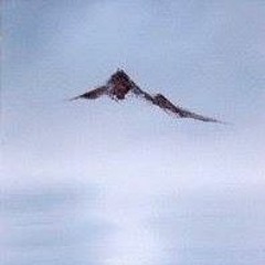 90'S Party HARDCASTLE - Barbari & Lugiano (secret mix)