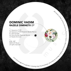 02. Dominic Vadim - Sequence 19.09 (Friedrich Becker Remix)