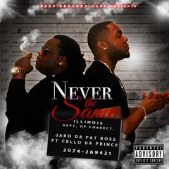 Never the Same (Feat. Cello Da Prince)