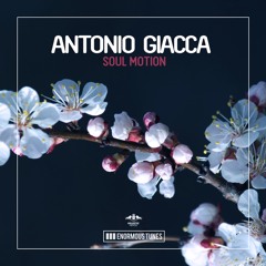 Antonio Giacca - Soul Motion [PETE TONG BBC Radio 1 Premiere]