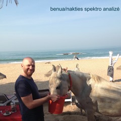 Nakties Spektro Analizė