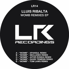 Lluis Ribalta - Womb (Secluded Remix)