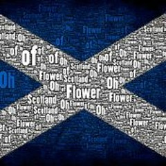 Marky Boi Vs Timmy Trumpet Ft Jason Risk & KSHMR - Flower Of Scotland (Toca 20 Remix)