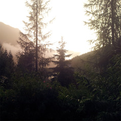 theclosing - Rasenmähermann