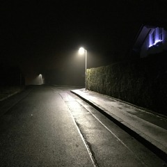 Panic Appartements ft ariana Side To Side