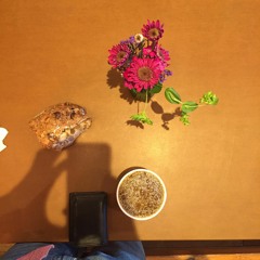 I Hate Christmas featuring Kate Garfield