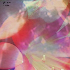 Soft Lashes - LANCER
