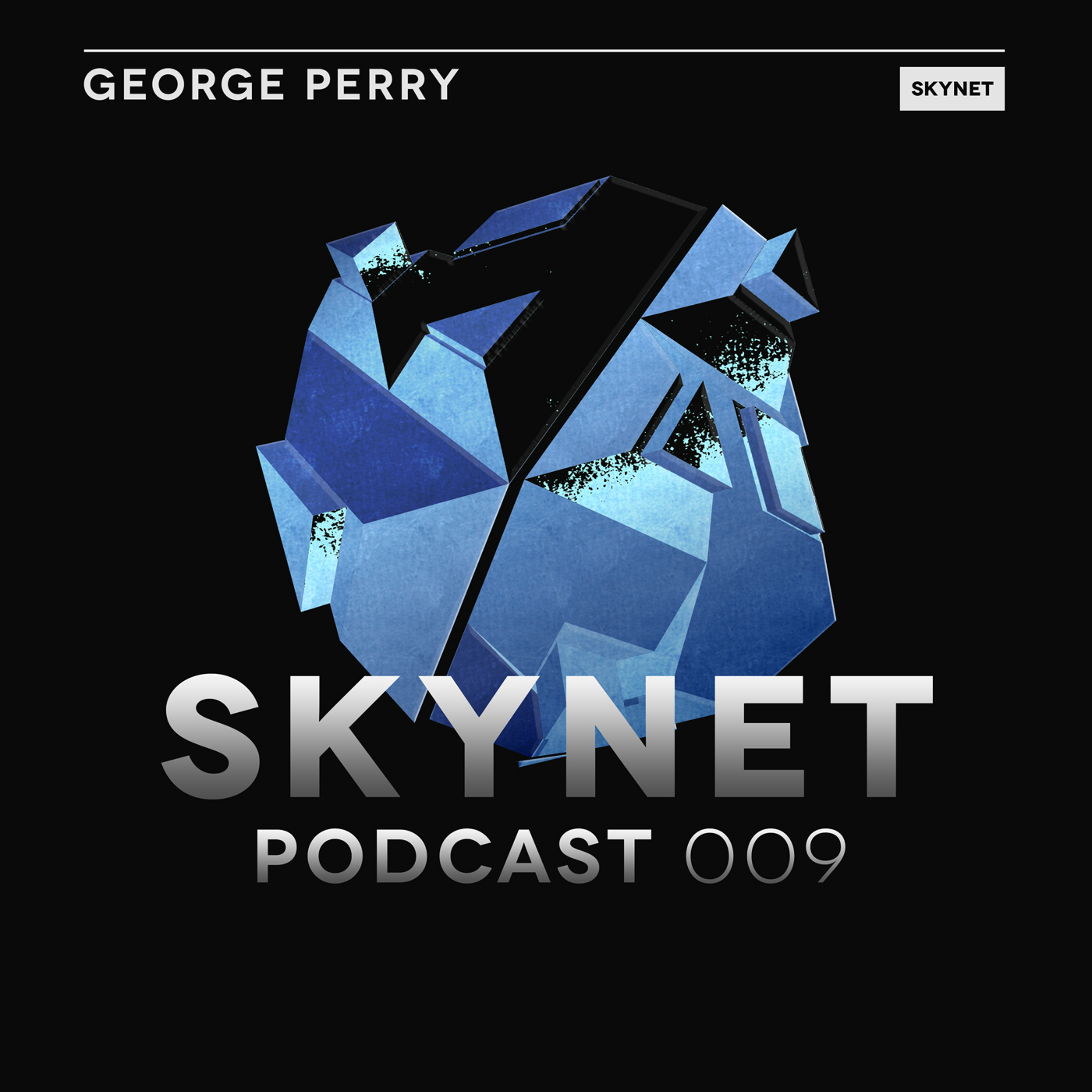 Skynet Podcast
