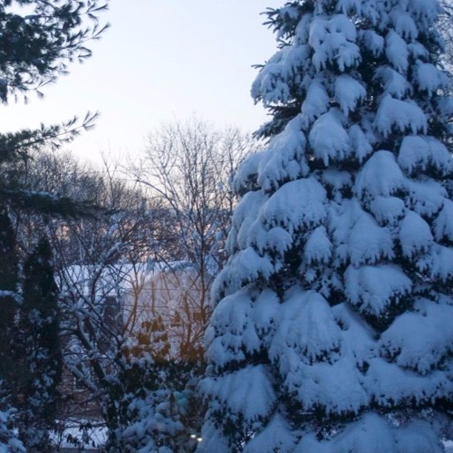 Shortest Day Of The Year
