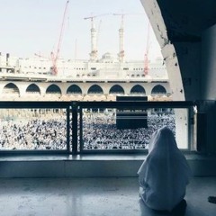 قُلْ آللَّهُ أَذِنَ لَكُمْ أَمْ عَلَى اللَّهِ تَفْتَرُونَ | العفاسي