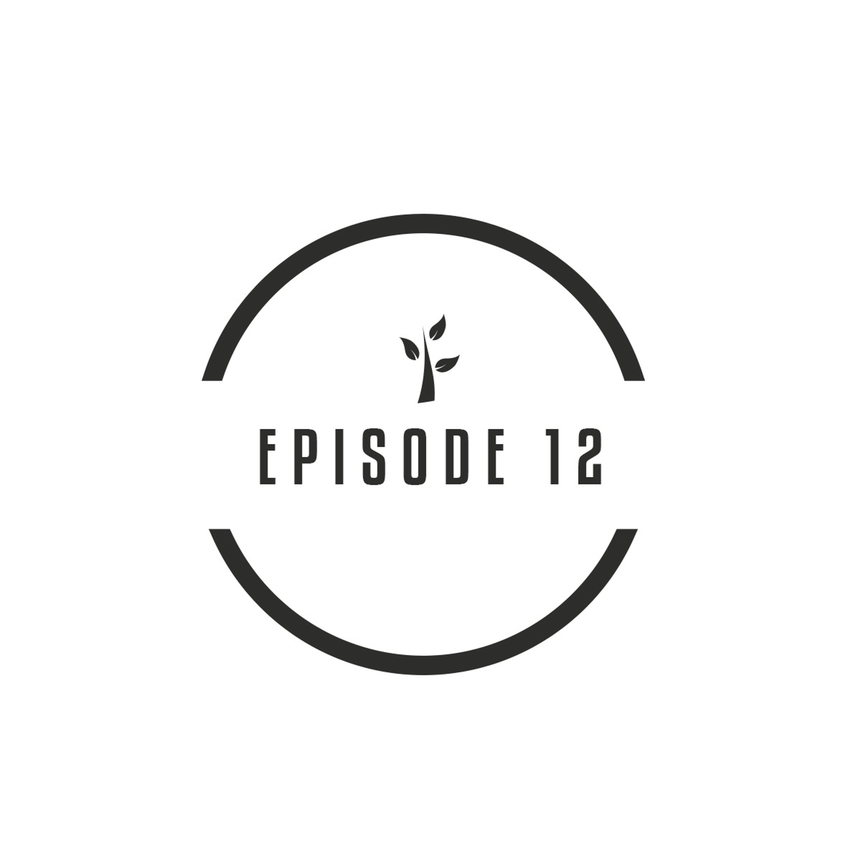 S1 E12 "The Fool or The Wise One?" thumbnail