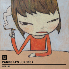 STORY TWELVE NTS 201216