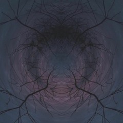 Paranoid