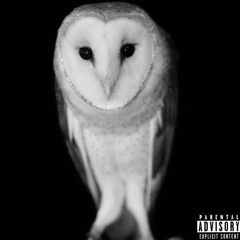 Sirc- Tha Usshh(Prod. DevinYouAFool)