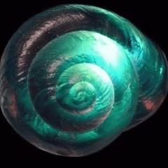 The Cracked Shell