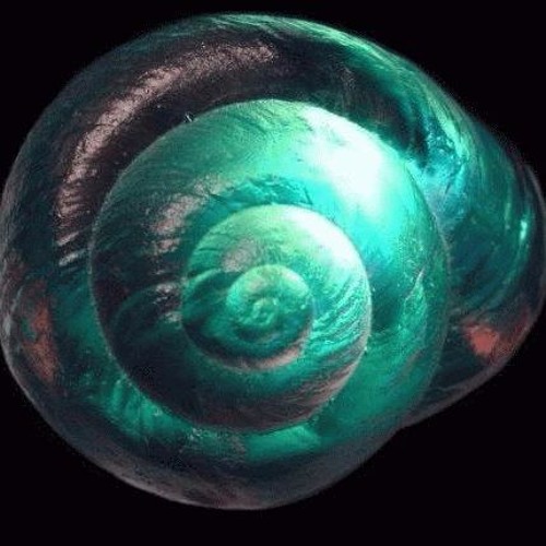 The Cracked Shell