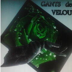Gants De Velours ,version2