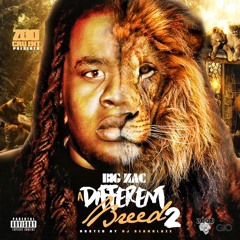 Hold It Down {Prod. Big B