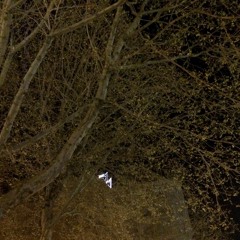 Sound And Vision written by  David Bowie, covered by us