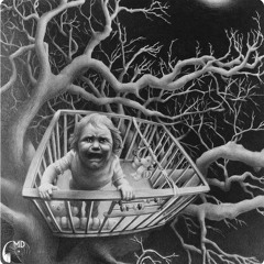 Jain Banshi - One Night In  Forest at Mischwaldevents