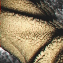 INTERSTICE (PROD. BY YUNG CORTEX)