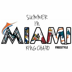 Summer In Miami Freestlye-GUN PLAY SPZ