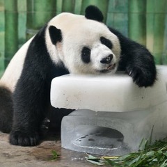 estudio sencillo nro 1