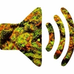 Kenny Rebel x Young Havoc - That Sound