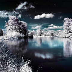 Trippy - Winter