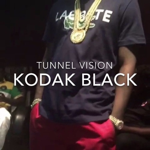 Stream "Tunnel Vision" | Kodak Black INSTRUMENTAL *unreleased* by Dhoble  Productions | Listen online for free on SoundCloud