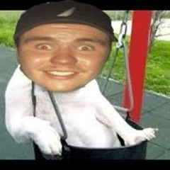Mulldog Mix V2