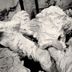 along the ravines - X